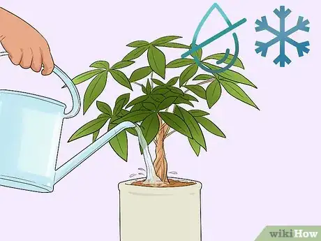 Image titled Care for a Money Tree Step 8