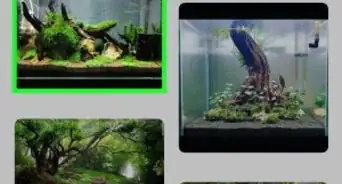 Find What You Want on Pinterest