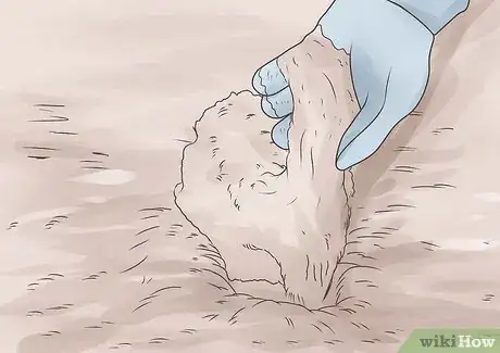 Image titled Grow Impatiens Step 8