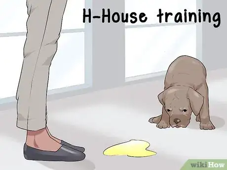 Image titled Diagnose Cognitive Dysfunction in Senior Dogs Step 4