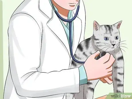 Image titled Diagnose Feline Upper Respiratory Illness Step 8