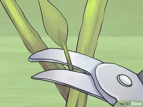 Image titled Prune Spirea Shrubs Step 8