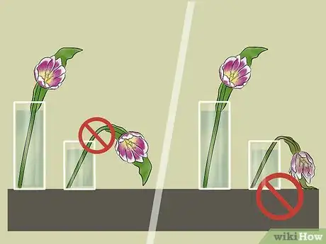 Image titled Care for Fresh Cut Tulips Step 5
