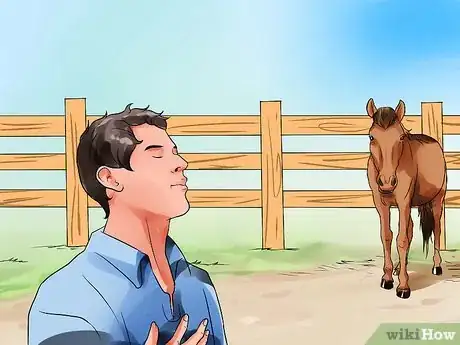 Image titled Be Comfortable Around a Bad‐Tempered Horse Step 2