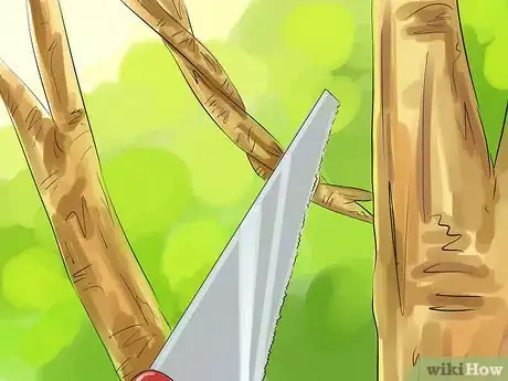 Image titled Prune a Crabapple Tree Step 5