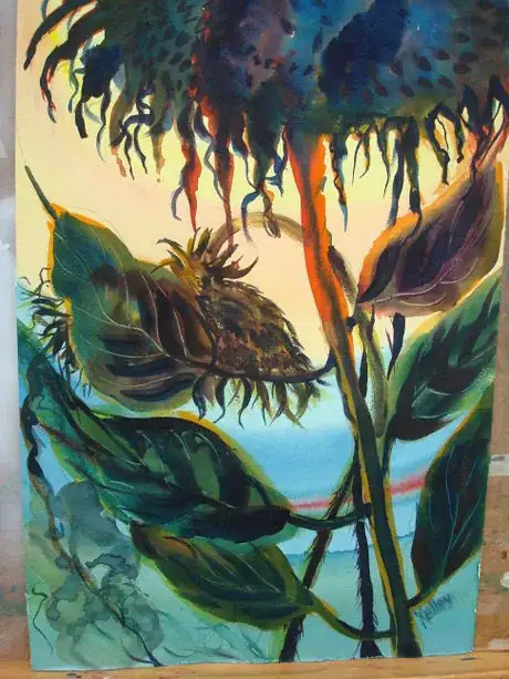 Image titled Backlit sunflowers