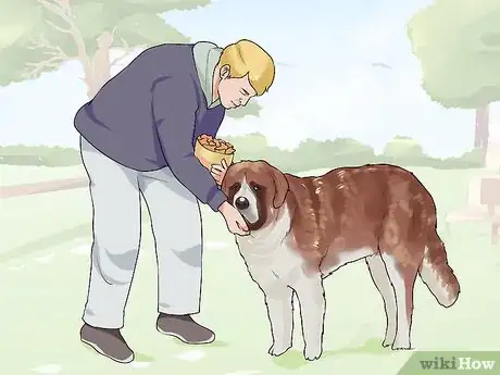 Image titled Bond with a Needy Dog Step 4