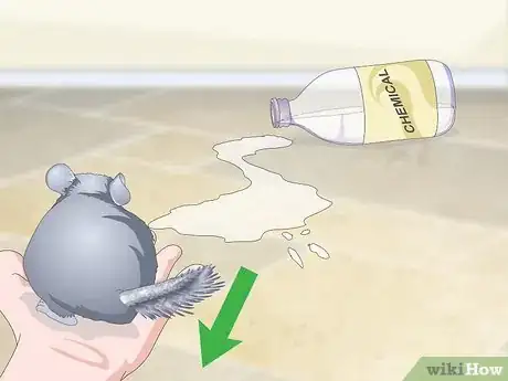 Image titled Avoid Poisoning a Chinchilla Step 11
