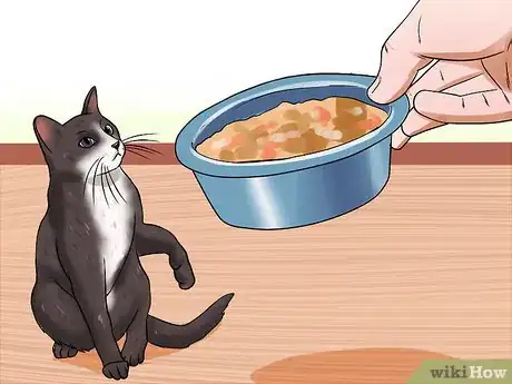 Image titled Prepare Your Cat for a New Baby Step 10