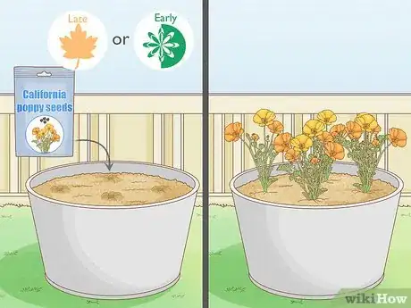 Image titled Grow California Poppies Step 1