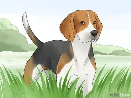Image titled Choose a High Energy Dog Breed Step 2