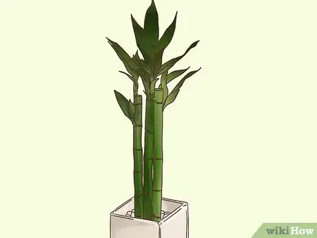 Image titled Choose Plants for Good Feng Shui Step 3
