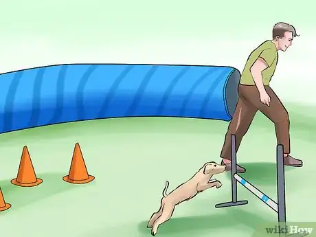 Image titled Get Your Dog to Jump Poles Step 16