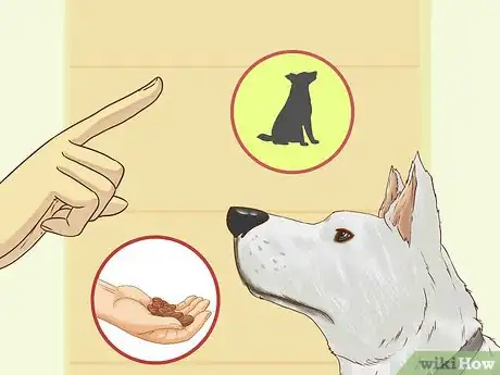Image titled Be Patient with Your Dog Step 5