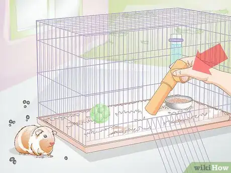 Image titled Clean Out a Guinea Pig's Hutch Step 12