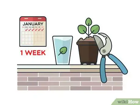 Image titled Grow Mint Indoors Step 2