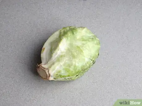 Image titled Select and Store Brussels Sprouts Step 3