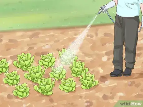 Image titled Protect Your Pets from Summertime Pests Step 13