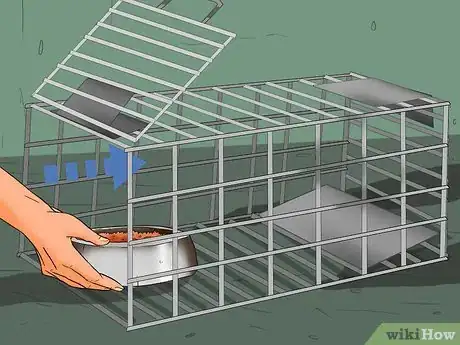 Image titled Earn the Trust of a Feral Kitten Step 3