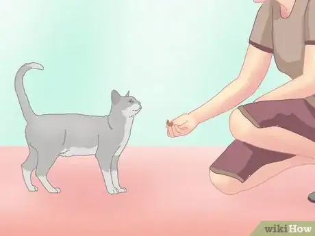 Image titled Get a Cat to Roll Over Step 5