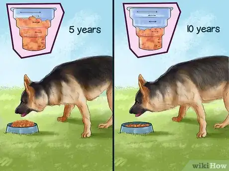 Image titled Know if Your Senior Dog Should Go on a Diet Step 12