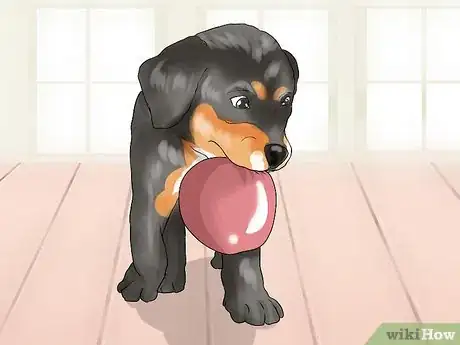 Image titled Handle Dog Begging for Food Step 6