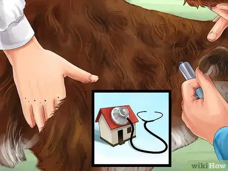 Image titled Find a Mobile Veterinary Service Step 6