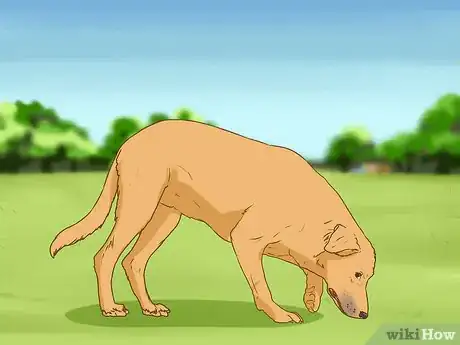Image titled Have Fun While You're Walking Your Dog Step 10