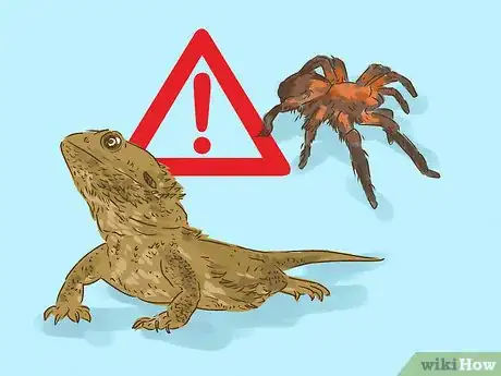 Image titled Be an Animal Lover Step 8