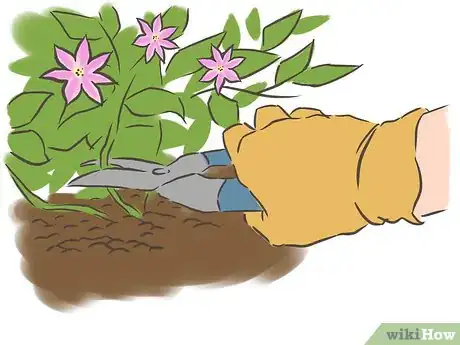 Image titled Prune Clematis Step 8