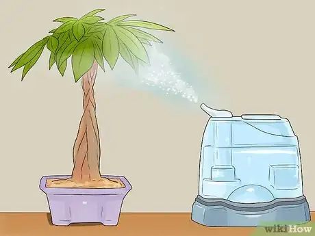 Image titled Care for a Money Tree Step 4