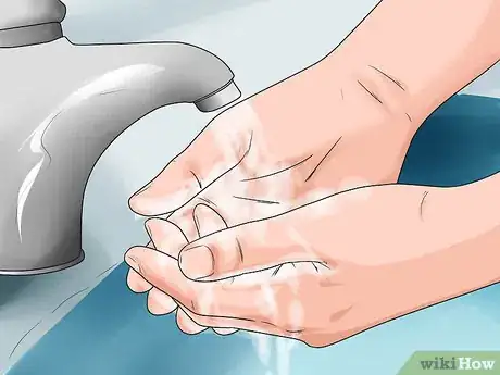 Image titled Care for a Beached Animal Step 6