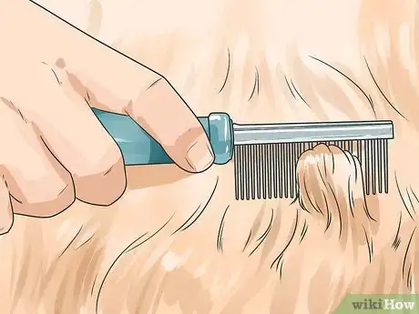 Image titled Brush a Long Haired Dog Step 12
