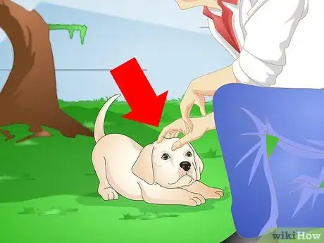 Image titled Make a Puppy Stop Digging Step 3