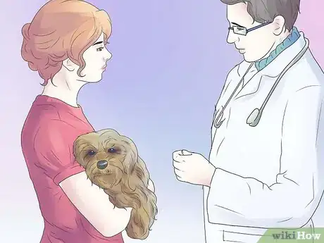 Image titled Remove Ear Mites from a Dog Step 1