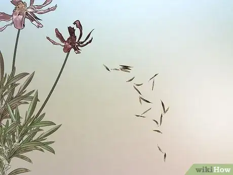 Image titled Grow Wildflowers Step 18
