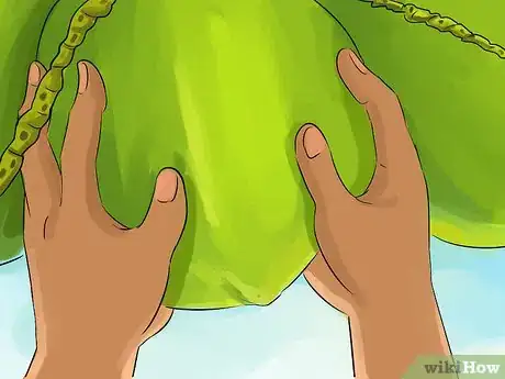 Image titled Harvest a Coconut Step 2