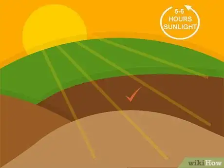 Image titled Grow Chrysanthemums Step 01