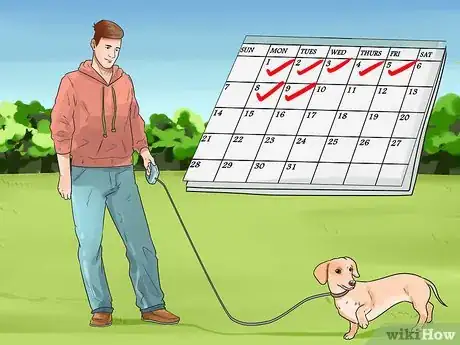 Image titled Show Your Dog Where He Is in the Pack Step 5