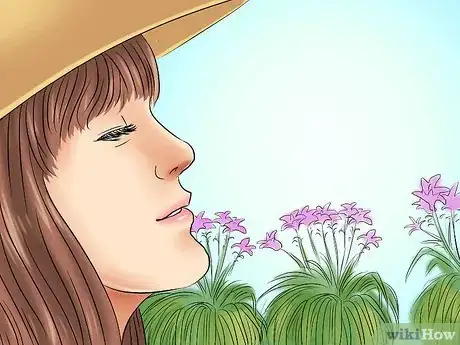 Image titled Transplant Resurrection Lilies Step 13