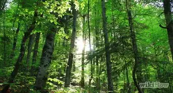 Make a Simple Solar Viewer