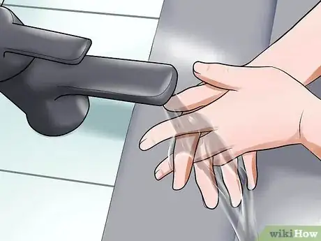 Image titled Prevent Canine Coronavirus Step 5