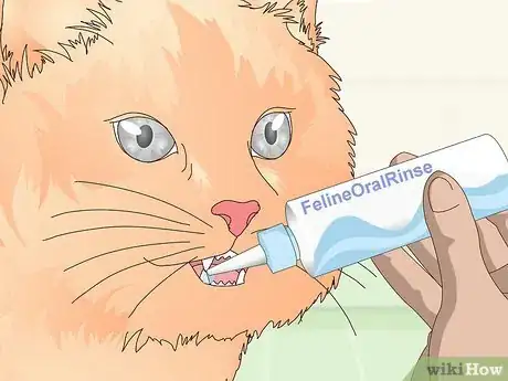 Image titled Keep Your Cat Clean Step 12