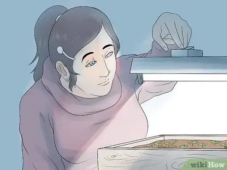 Image titled Grow Petunias Step 10