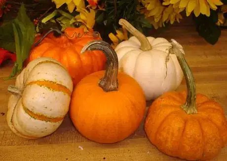 Image titled Pppumpkins