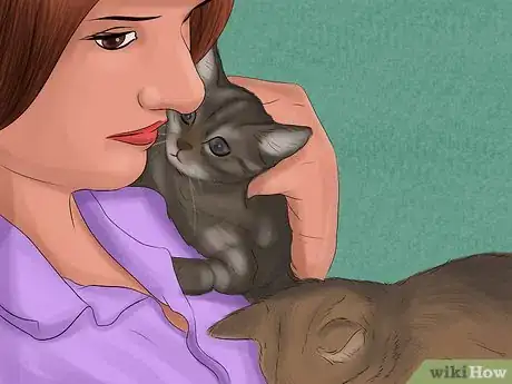 Image titled Draft a Pet Protection Agreement Step 7