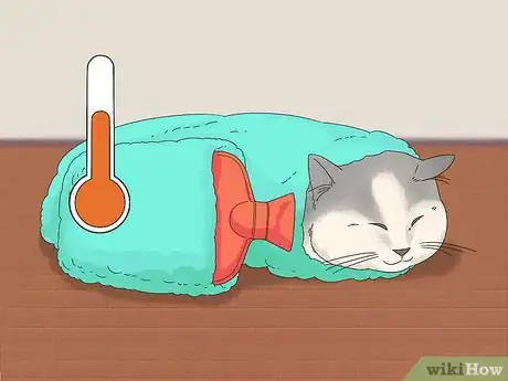 Image titled Diagnose and Treat Frostbite in Cats Step 6