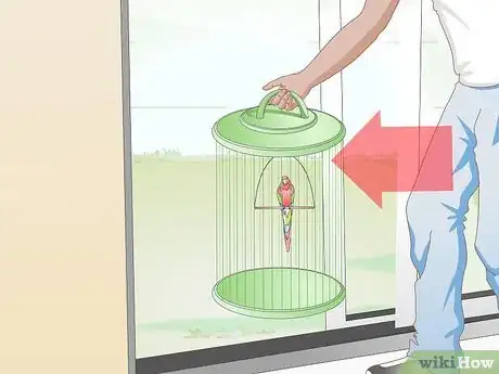 Image titled Protect Pet Birds when Spraying Your House for Fleas Step 3