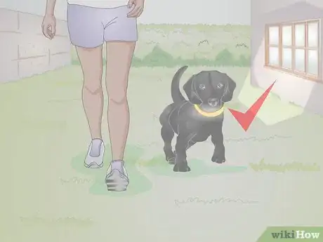 Image titled Find the Right Collar for Your Dog Step 12