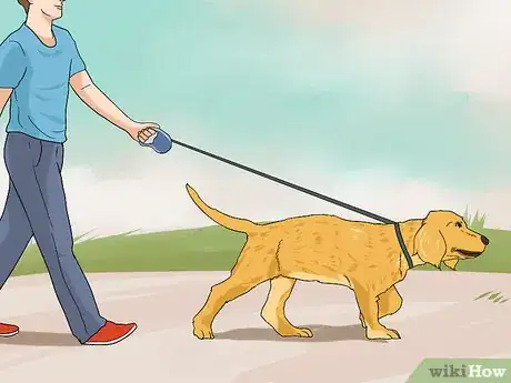 Image titled Have a Fun Day with Your Dog Step 1